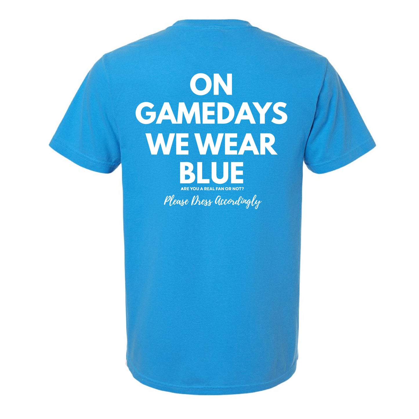 Thunder Ridge Football - On Game Days We Wear Blue - Royal Caribbean Comfort Colors Tee