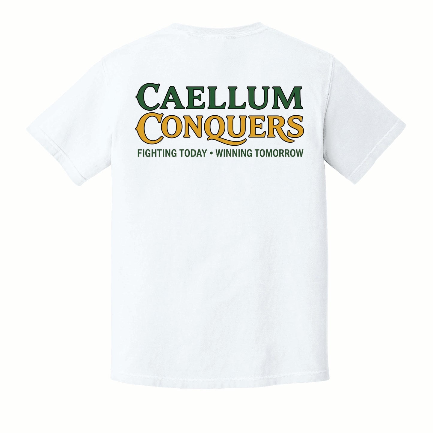 Calleum Conquers - Comfort Colors Short Sleeve Tee - 1717 - Pocket Front & Back