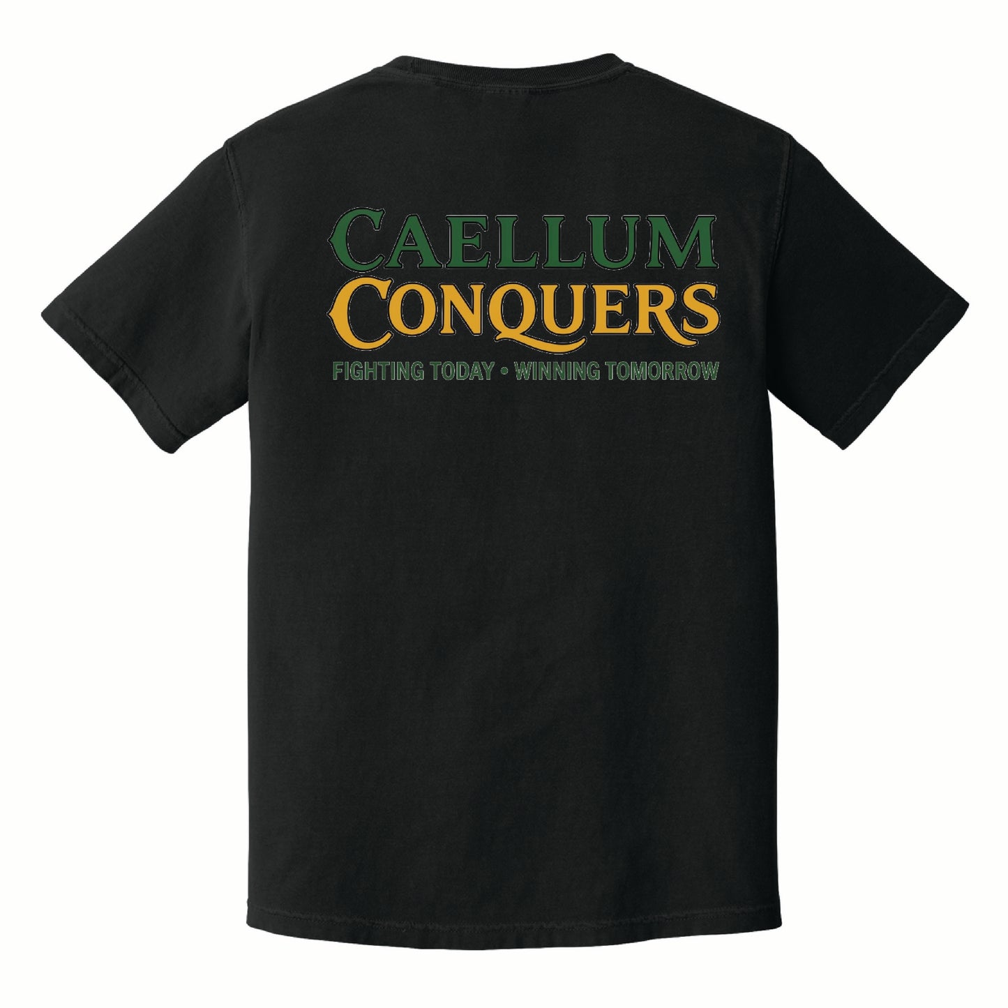 Calleum Conquers - Comfort Colors Short Sleeve Tee - 1717 - Pocket Front & Back