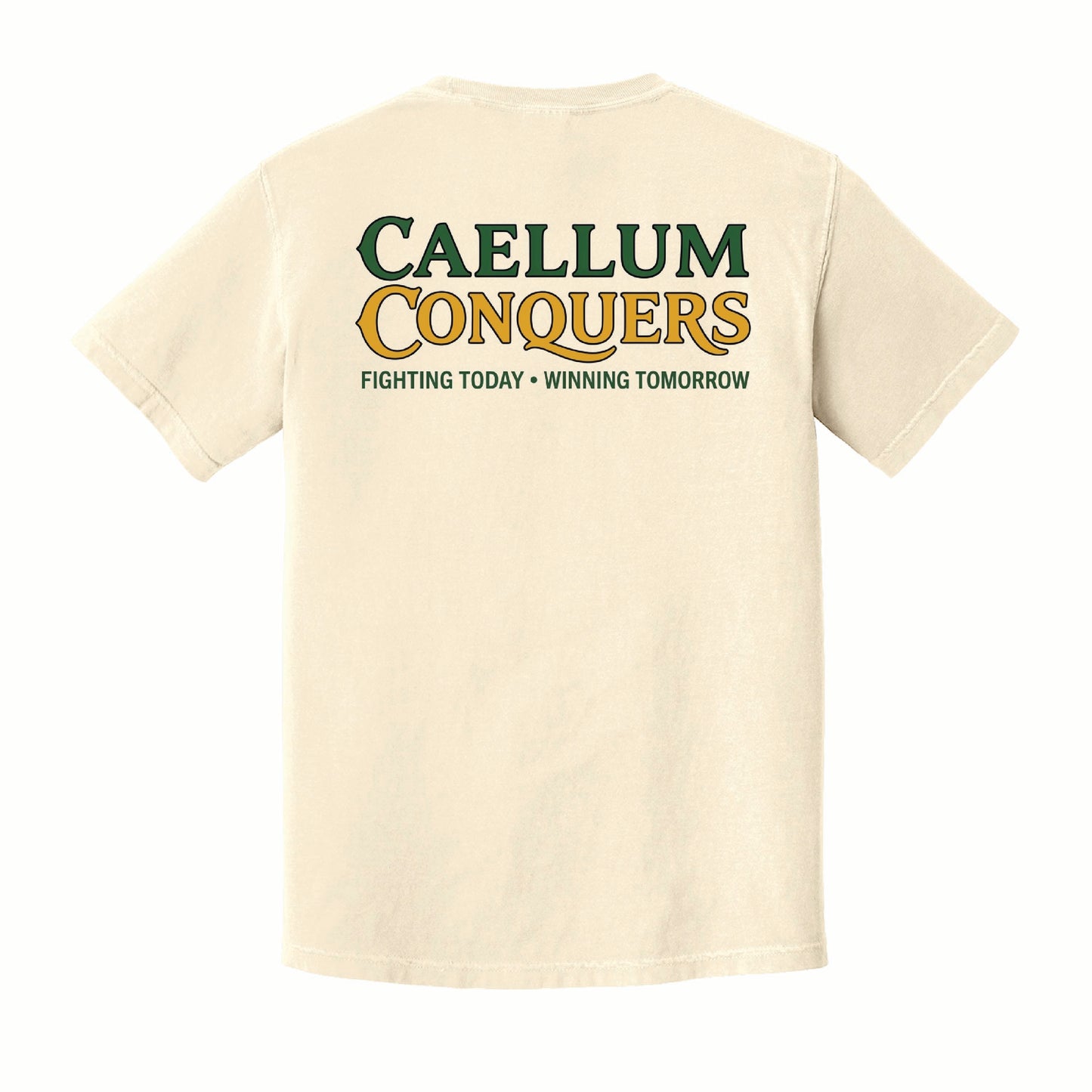 Calleum Conquers - Comfort Colors Short Sleeve Tee - 1717 - Pocket Front & Back