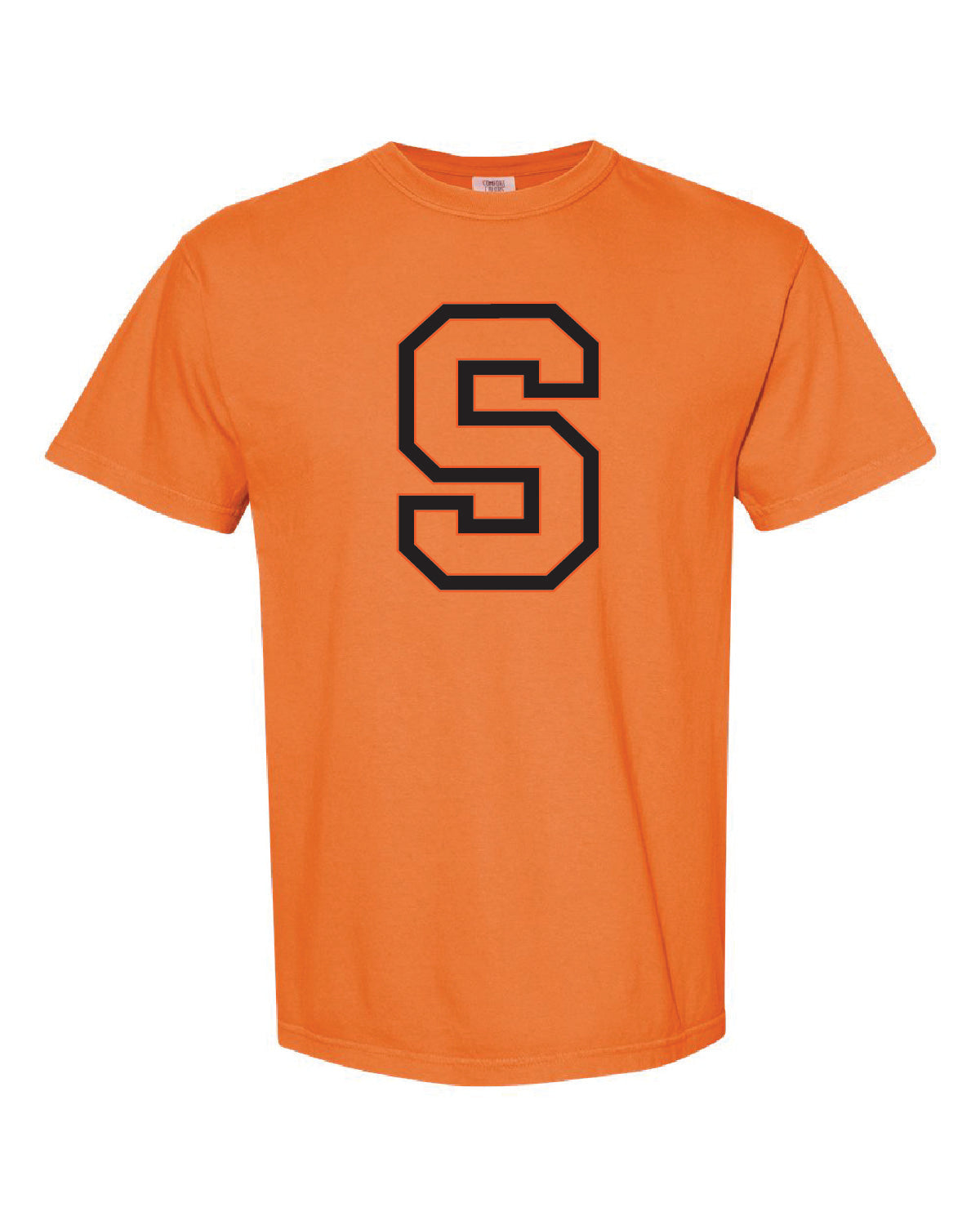 Salmon Schools - Printed - Large S - Comfort Colors Tee 1717