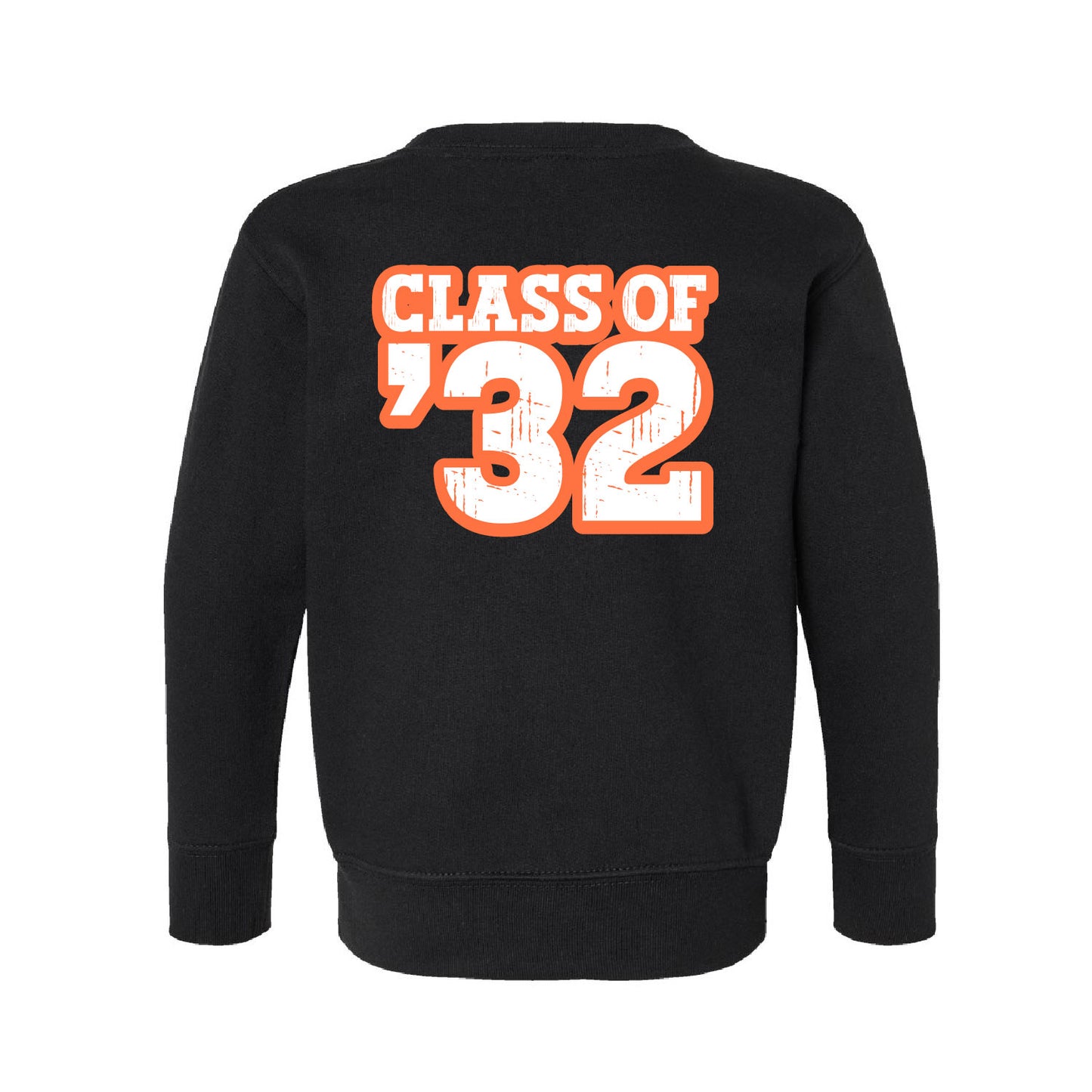Salmon Pride School Wide - Vintage Capital - Class of (choose your year!) - Child & Youth Crewneck Sweatshirts