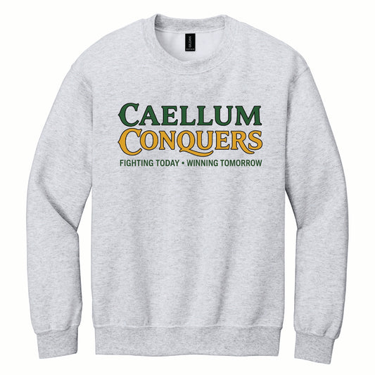 Calleum Conquers - Gildan Basic Fleece Crewneck - 18000 - Front Design