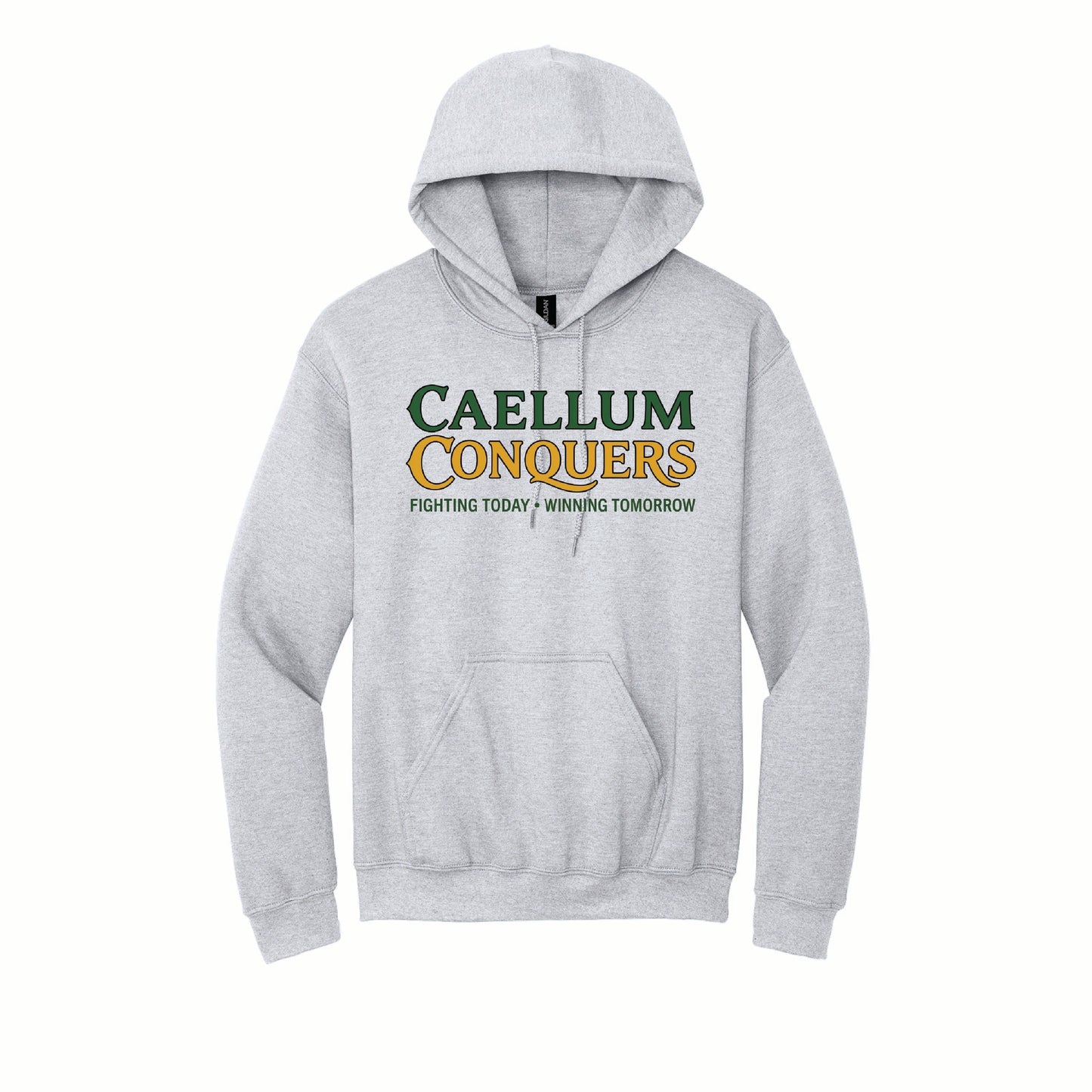 Calleum Conquers - Gildan Basic Fleece Hoodie - 18500 - Front Design