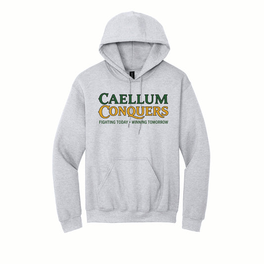 Calleum Conquers - Youth Gildan Basic Fleece Hoodie - 18500B - Front Design