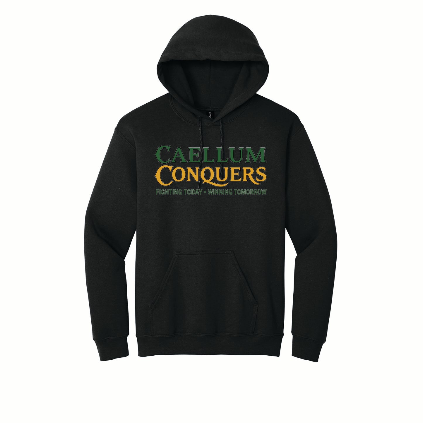 Calleum Conquers - Gildan Basic Fleece Hoodie - 18500 - Front Design
