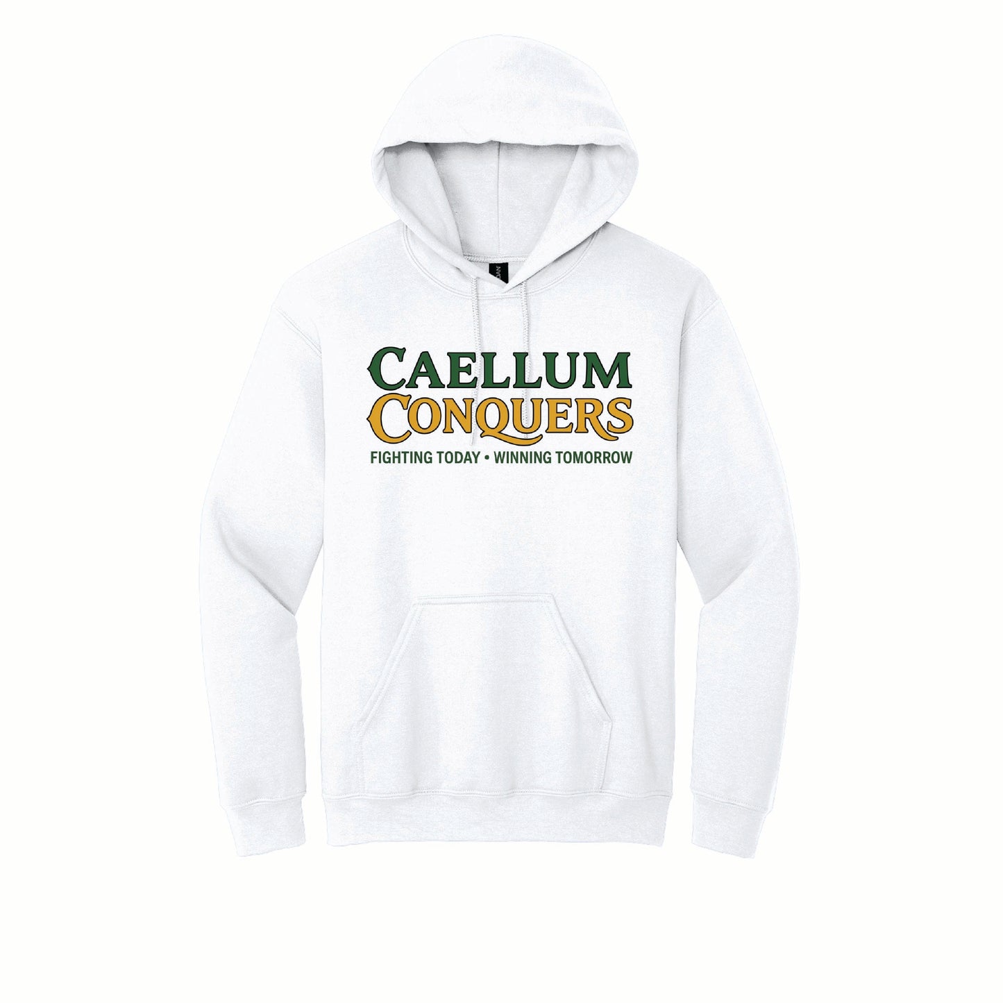 Calleum Conquers - Gildan Basic Fleece Hoodie - 18500 - Front Design