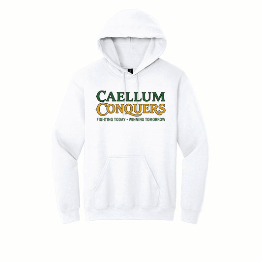 Calleum Conquers - Gildan Basic Fleece Hoodie - 18500 - Front Design
