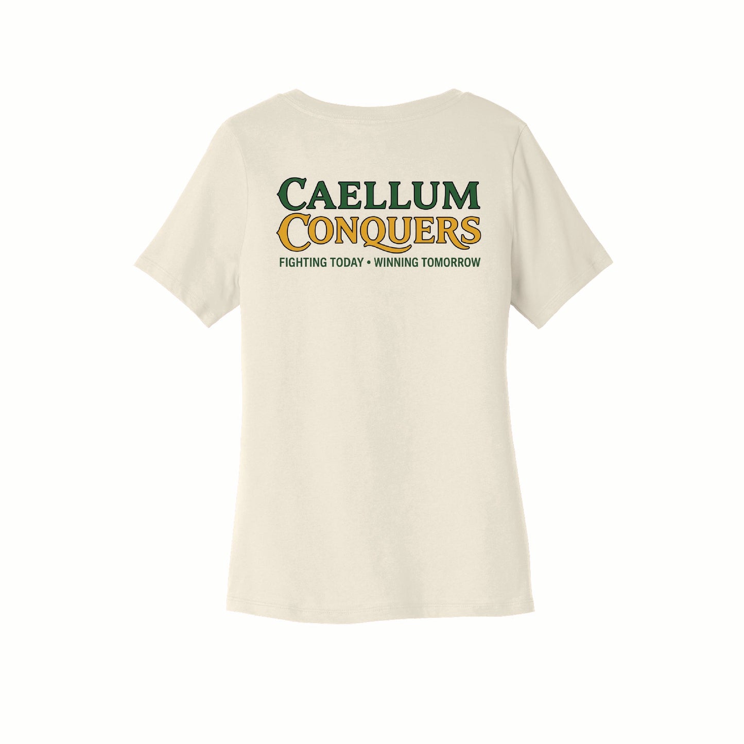 Caellum Conquers - Bella Canvas V Neck - BC6405 - Pocket Front & Back