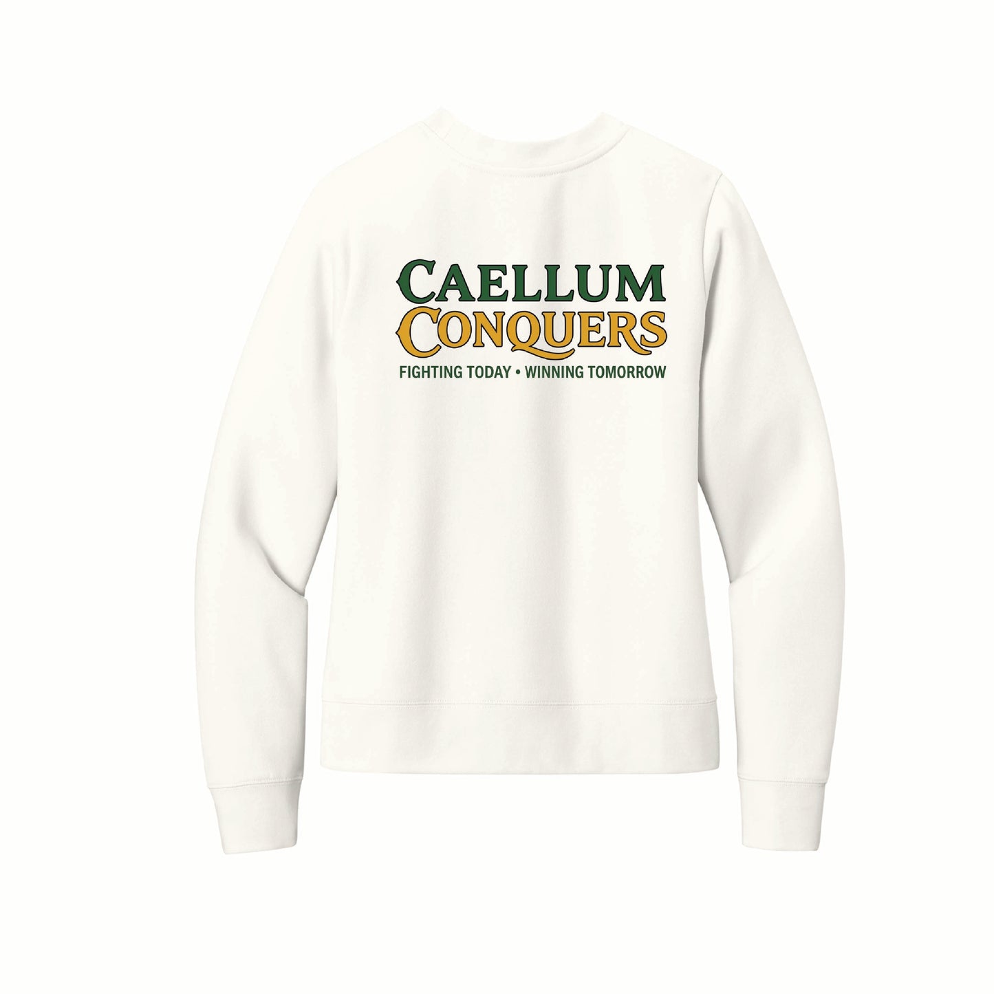 Caellum Conquers - District Women's Crewneck - DT6105 - Pocket Front & Back