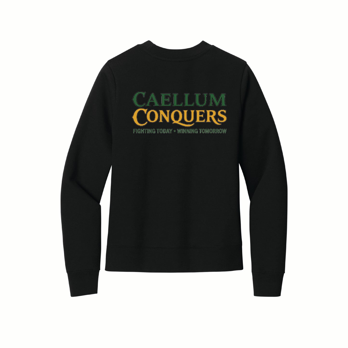 Caellum Conquers - District Women's Crewneck - DT6105 - Pocket Front & Back